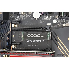 Alphacool HDX - M.2 SSD M01 - 80mm - black Alphacool - 7