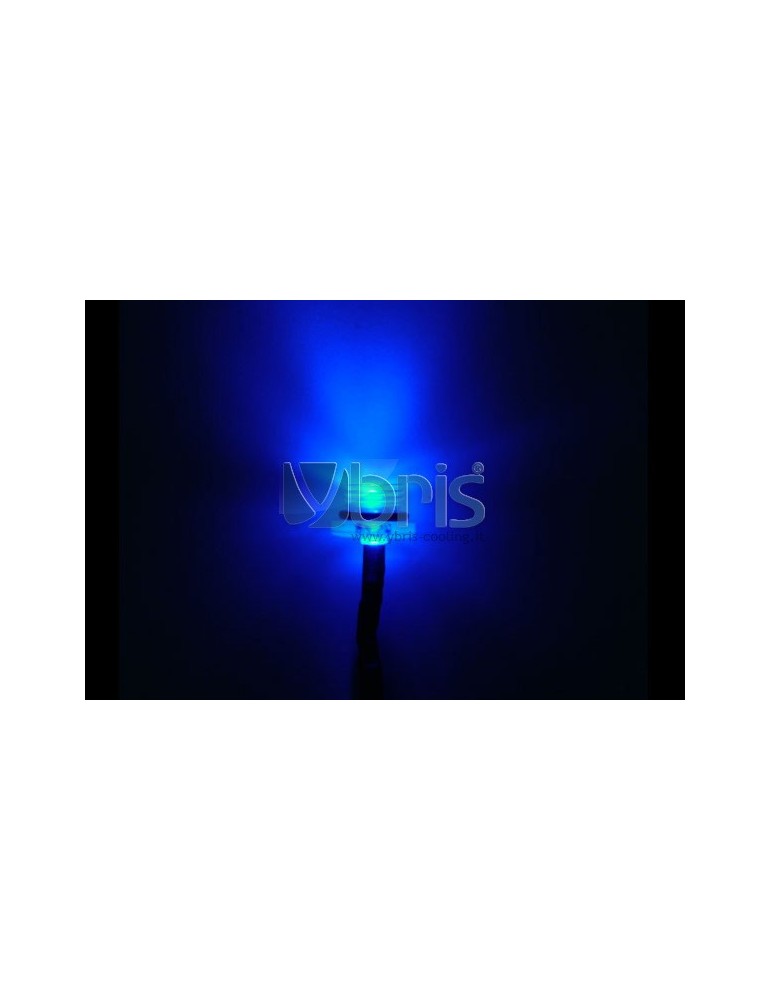 Phobya LEDready Twin 5mm Ultra-bright blue 30cm - black Phobya - 2